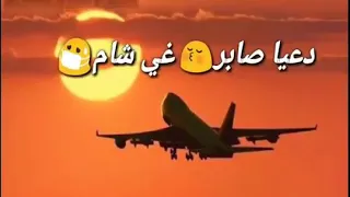 Cheb Bilal💚 | 🔥STATU WHATSAPP TOop🔥 | 2k19 Rai🎵 باريس واعره😍 واعره / لغربه واعره😘 واعره😘