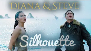 Diana & Steve Silhouette