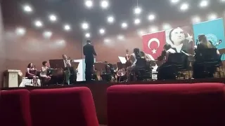 E. Elgar Cello Concerto 1 st movement