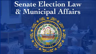 Senate Election Law and Municipal Affairs (05/14/2024)