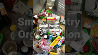 Dollar Tree Bins Really Help To Organize & Declutter My Small Pantry!