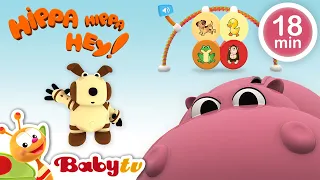 Hippa Hippa Hey 🪀  Suara binatang dan game mencocokkan untuk anak-anak | kartun @BabyTVIndo​