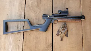 MODIFYING/HUNTING with AMERICAN CLASSIC AIRGUN