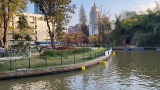 Bangalore Iconic place - Cubbon Park  | Garden City Bengaluru || Bangalore Tourism| 4K