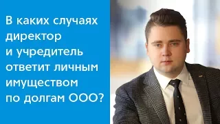 Ответственность учредителей и директора в ООО