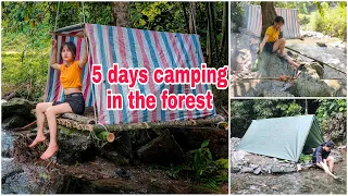 5 days survival camping in the forest | 365 days adventure in the jungle of Southeast Asia