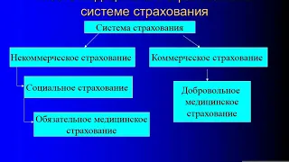 2013 Медицинское страхование граждан в РФ