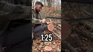 Speed test: Silky Big Boy 2000 VS Boreal 21 by Agawa #bushcraft #campinggear #survivalgear