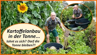 Kartoffelanbau in der Tonne, lohnt es sich?! Darf die Tonne bleiben?!