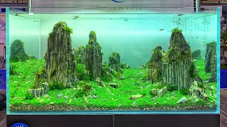 BEAUTIFUL Aquascapes at AQUA 2019