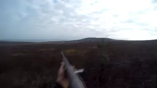 Охота на зайца 2019 в Крыму