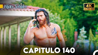 Pájaro Soñador Capítulo 140 (Doblado En Español 4K)