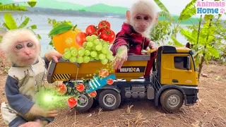 Full Season | When baby monkey Obi uses super powers to pick fruit