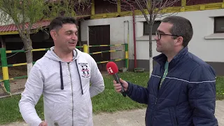 Vitele din rasa Montbeliarde produc lapte și carne de calitate