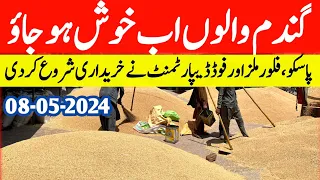 آج نئی گندم کا نیا ریٹ،گندم والوں اب خوش ہو جاؤ|Wheat Price in Pakistan 2024#wheat