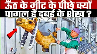 अरब देशों में इतना ज़्यादा ऊँट का मांस क्यों खाया जाता है | Health Benefits of Camel Milk in Hindi