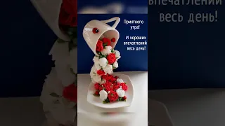 Доброе утро, хорошего дня!