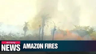 Massive wildfires in Amazon rainforest emerging as "global crisis"