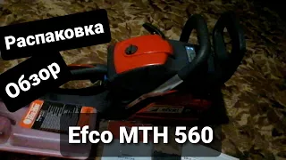 Распаковка бензопилы Efco MTH 560 ITALY / Японский карбюратор Walbro