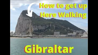 How to Get to The Top of The Rock of Gibraltar Walking