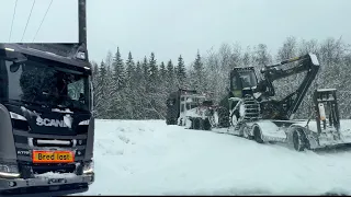 #10 vizināmies pa Zviedriju! Armands ar pelmeņiem!