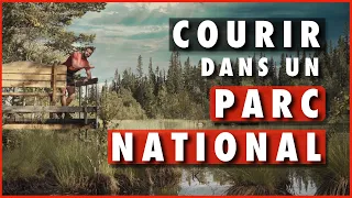 Je fais le tour d'un parc national ! - FULUFJÄLLET (Suède)