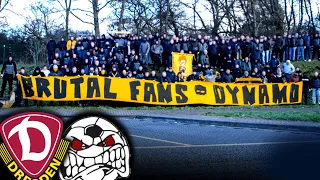 Fanszenenvorstellung - SG Dynamo Dresden