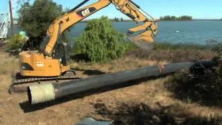 Port Of Stockton: Antioch Dunes Project