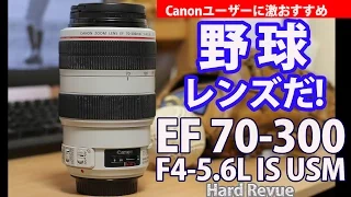 【EF 70-300 f4-5.6L】野球レンズだ！標準ズームと比較