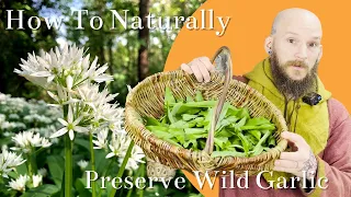 How to Naturally Preserve Wild Garlic (Allium ursinum)