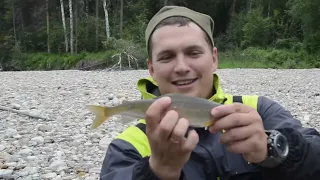 Водометный поход, предгорье Саян, ловля хариуса,Грузовой и верховой настрои,Тохатсу-50,ShimanoKatana