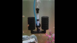 Aquarium sponge bio filter