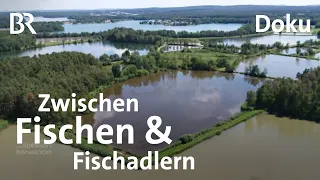 Im Charlottenhofer Weihergebiet: Von Fischadlern und Teichwirten | Zwischen Spessart und Karwendel