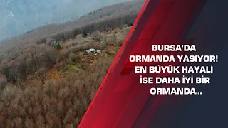 Bursa’da ormanda yaşıyor! En büyük hayali ise daha iyi bir ormanda…