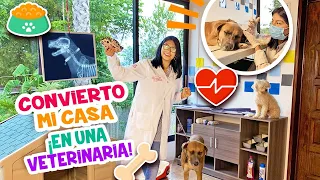 CONVIERTO MI CASA ¡EN UNA VETERINARIA!🐕🐢🐈  Tortuga Embarazada, Gato traumado y ✚|Conny Merlin