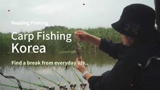 Healing crucian carp fishing story in a reservoir in Korea. [vlog-01]