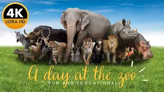 Virtual Zoo Trip! Explore Amazing Animals Around the World (Educational & Fun!)