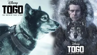 Togo 2019 Full Movie || Willem Dafoe, Julianne Nicholson || Togo HD Movie || Togo Movie Full Review