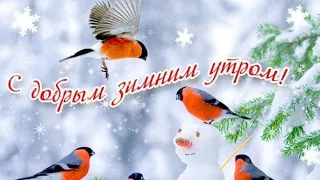 С добрым зимним утром! / Good morning! / Доброго ранку!