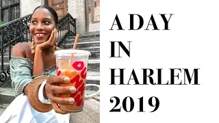 A DAY IN HARLEM 2019 | MONROE STEELE