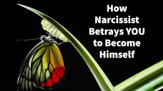 How Narcissist Betrays YOU to Become Himself (Compilation)