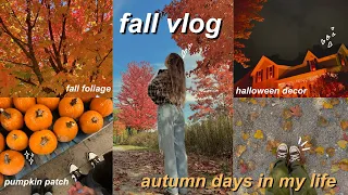 fall days in my life 👻 🎃 pumpkin patch, cozy october days, concert, & halloween lights