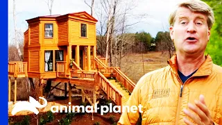 Building A Spectacular Thomas Jefferson Style Honeymoon Treehouse | Treehouse Masters