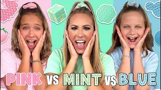 PINK 🌸 VS MINT 🛼 VS BLUE ❄️ FIDGET SHOPPING CHALLENGE!