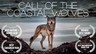 Call Of The Coastal Wolves - British Columbia sea wolf mini-documentary