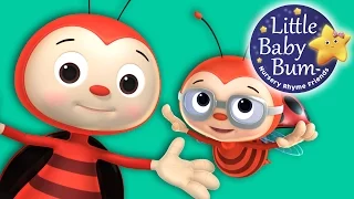 Learn with Little Baby Bum | Ladybug Ladybug | Nursery Rhymes for Babies | Songs for Kids