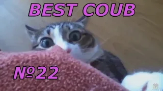 Best coub №22 TRY NOT TO LAUGH