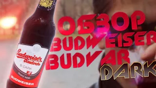 Поясни за Бухло: Budweiser Budvar Dark