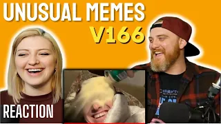 "UNUSUAL MEMES V166" @UnusualVideos | HatGuy & Nikki react