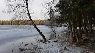 П.И.Чайковский и красота творения - Зимний лес. ("Щелкунчик" - Адажио)